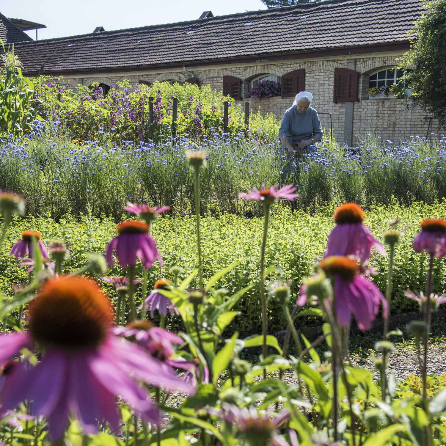 Portraitfotografie draussen ganze Person im Garten von Regine Giesecke Photography
