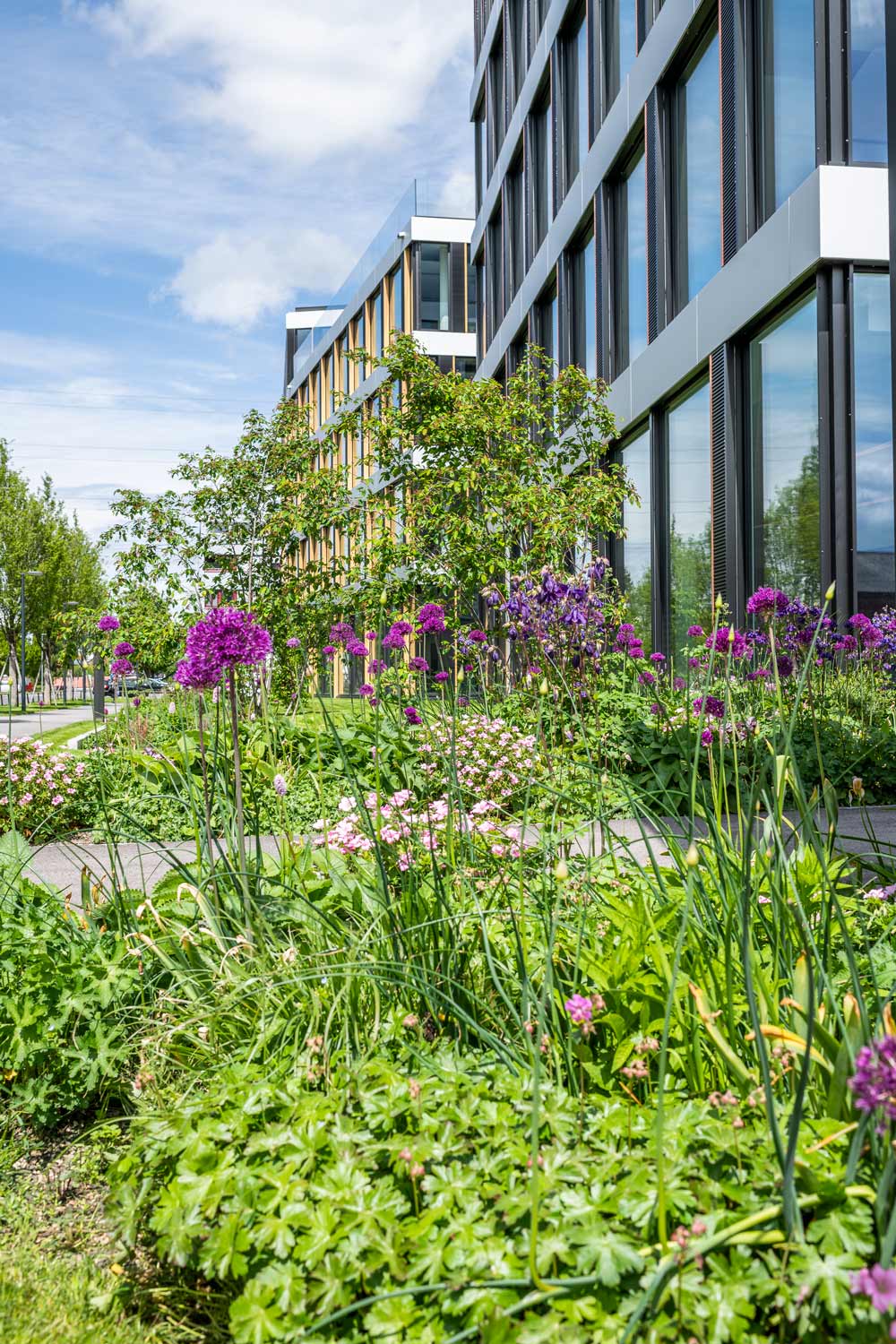Bepflanzung Helix Gebaeude in Cham. Fotografiert von Regine Giesecke Architecture Photography GmbH