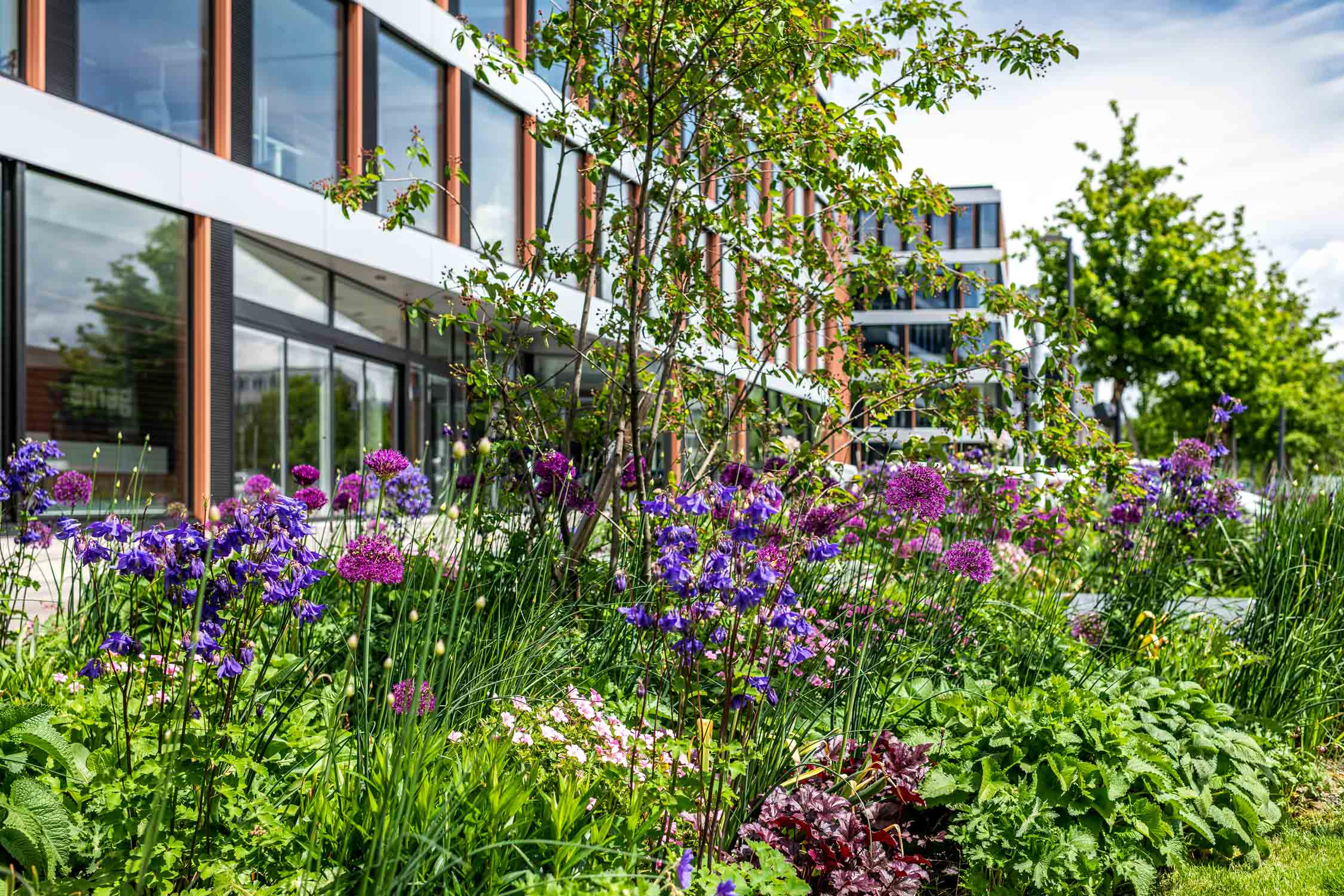 Bepflanzung Helix Gebaeude in Cham. Fotografiert von Regine Giesecke Architecture Photography GmbH