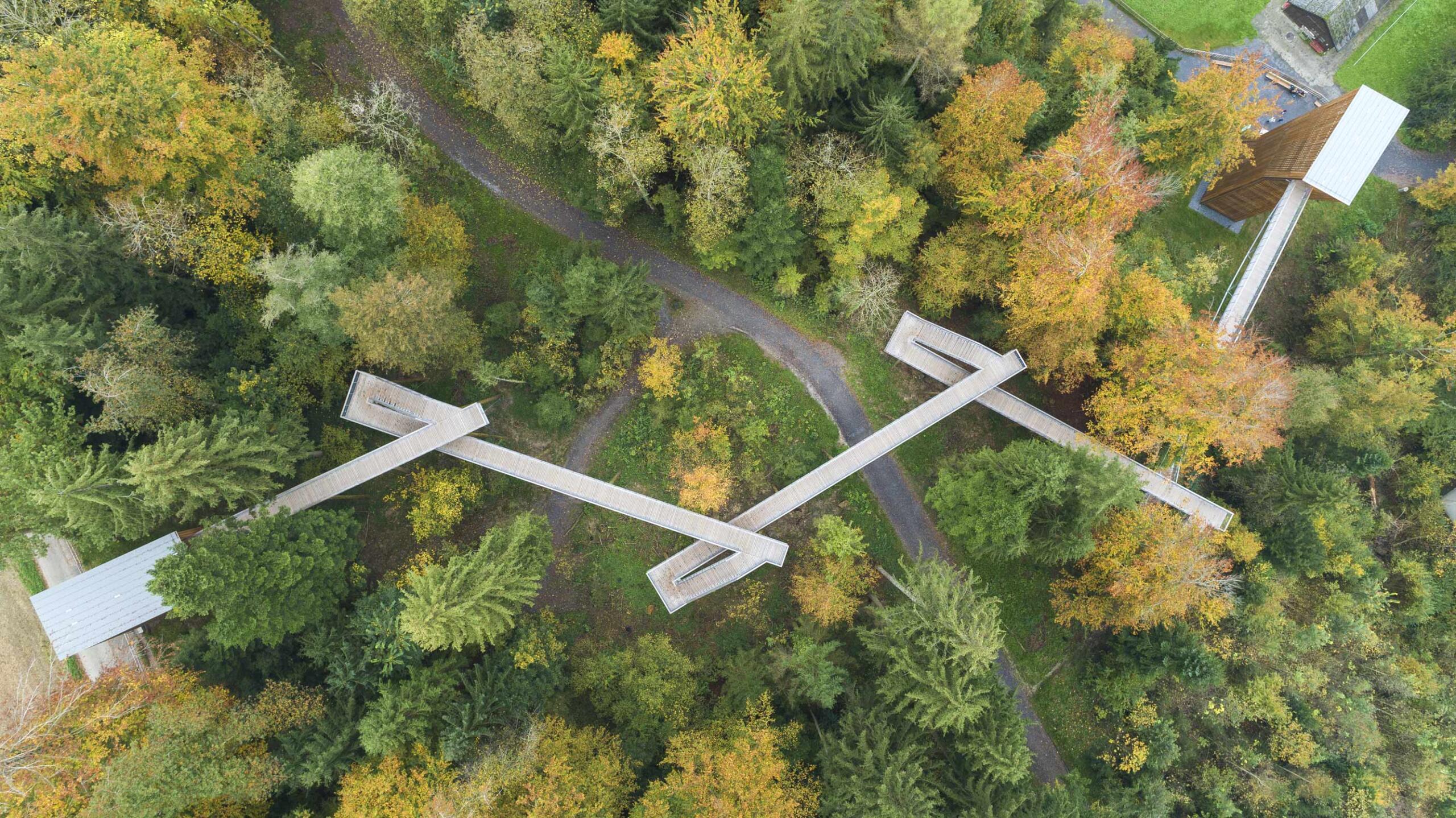 Schlaufensteg Holzsteg mit Treppen führt durch Baumkronen im Wald. Architekturfotograf Regine Giesecke